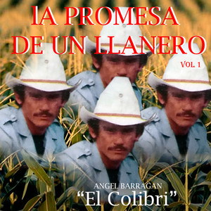 La Promesa De Un Llanero Vol 1