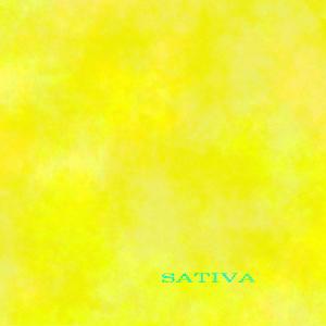 sativa