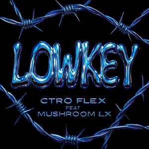 LOWKEY (Ft. Mushroom LX|Explicit)