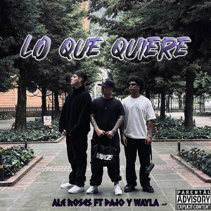 Lo que quiere (feat. Dajo y Wayla) [Explicit]