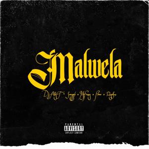 Malwela (feat. Sweggah, Mr Funny, Flvme & RoyalSon)
