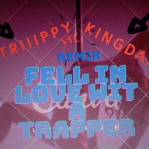 Fell In Love Wit A Trapper (feat. King Dap) [Explicit]