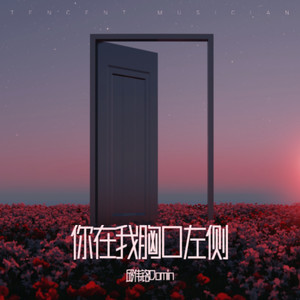 你在我胸口左侧