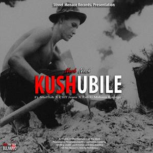 Kushubile (feat. Fab G, Muffloh & Nosh Nosh)