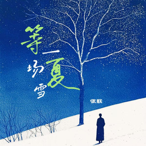 等一场夏雪-张朕