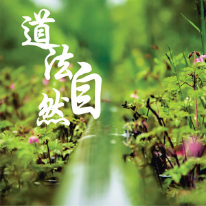 净心神咒 (道教国语演唱)