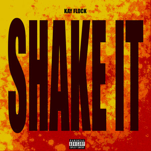 Shake It (Instrumental)