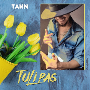 Tulipas