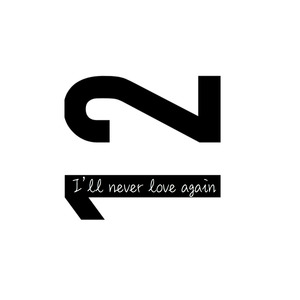 I'll never love again