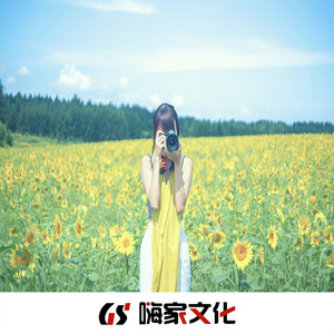 山归山  江归江 (Remix)