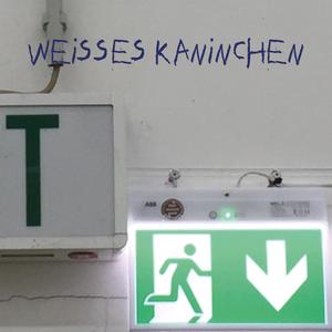 Weisses Kaninchen(feat. Bruder Bender & Tanya)