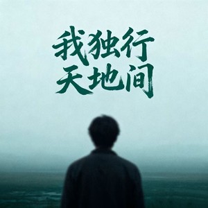我独行在天地间