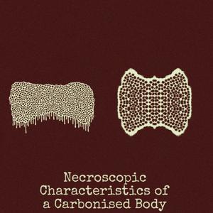 5 Minutes and 49 Seconds of Cartel Dismemberment (feat. Lymphoedema)