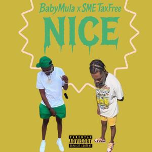 Nice (feat. SME TaxFree) (Explicit)