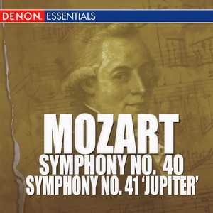 Symphony No. 40 In G Minor, KV 550 - Molto Allegro