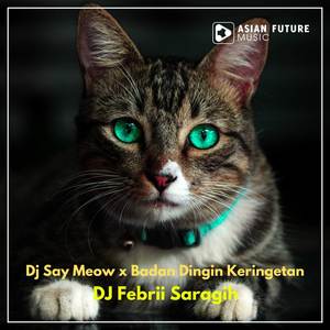 Dj Say Meow x Badan Dingin Keringetan