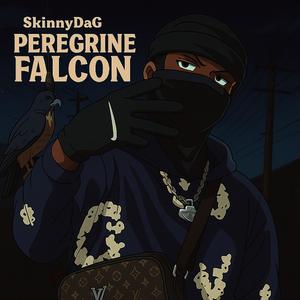 Peregrine Falcon (feat. RayyCK) (Explicit)
