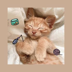 i saw you (Prod. Creed)