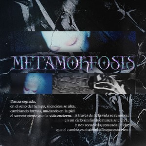 METAMORFOSIS (Original Mix)