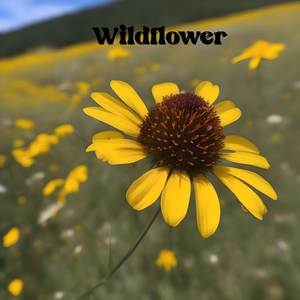 Wildflower