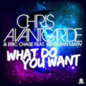 What Do You Want (Feat. Postman Marv)