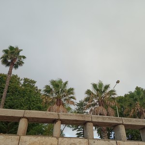 StepFree, Mobilidade Reduzida(feat. Hélio Brown & Fernas)