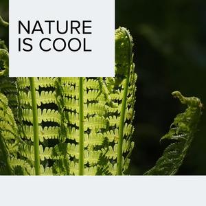 Riverside Steady Campfire