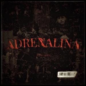 Adrenalina (feat. draco293) (Explicit)