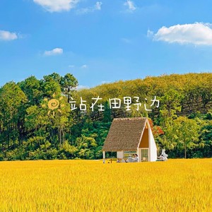 站在田野边 (伴奏)