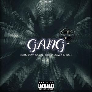 Gang (feat. Dirty_Chainz, Roxtar Steven & TDS) [Explicit]