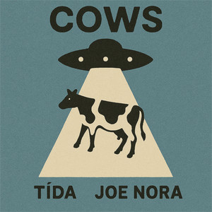 Cows