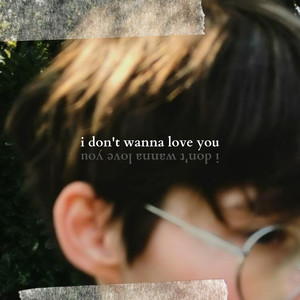 i don't wanna love you