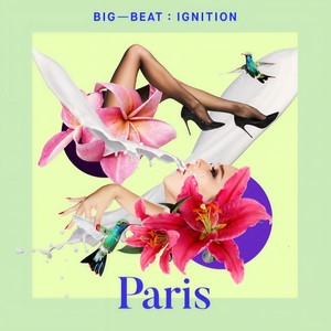 Fine Day (feat. Anita Briem) (Henri's Monstertooth Mix)