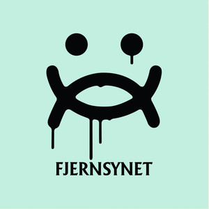 Fjernsynet