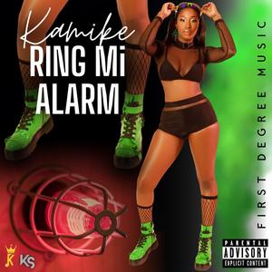 Ring Mi Alarm