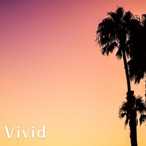 Vivid