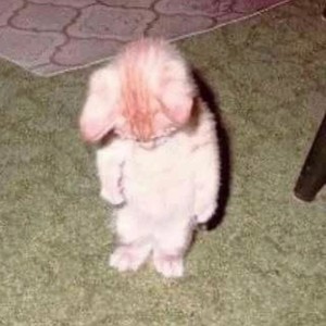 If you need me. (Explicit)