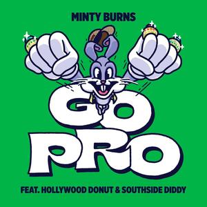 Go Pro (feat. Hollywood Donut & Southside Diddy)