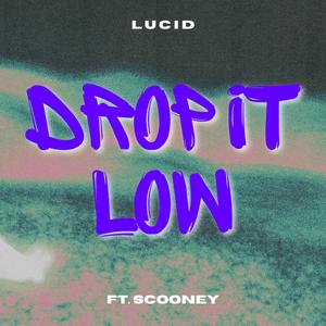 Drop It Low (feat. Scooney) [Explicit]