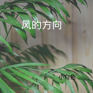 多余的伤心人 (DJ版)