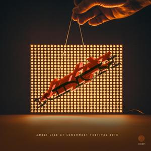 White Silence (Live at Lunchmeat Festival 2018)