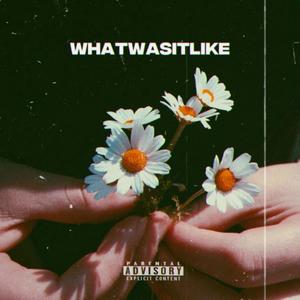 what was it like(feat. Lexx Stokes) (Explicit)