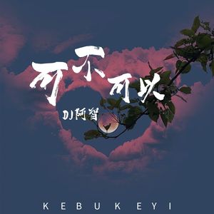 可不可以 (DJ阿智 Remix)
