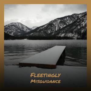 Fleetingly Misguidance