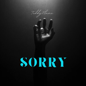 SORRY (Explicit)