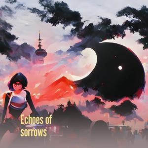 Echoes of sorrows