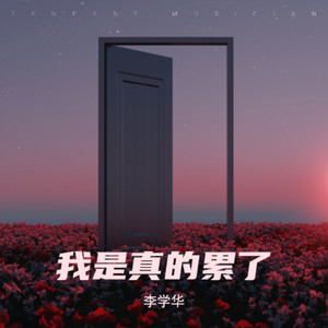 李学华 - 我是真的累了