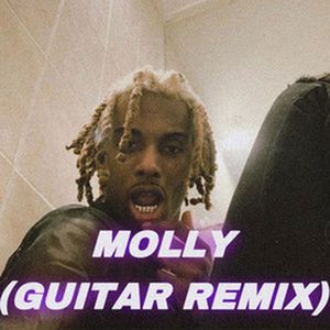 Molly (Guitar Remix|Explicit)