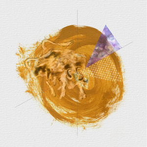 Paz (Paul Strive Remix)