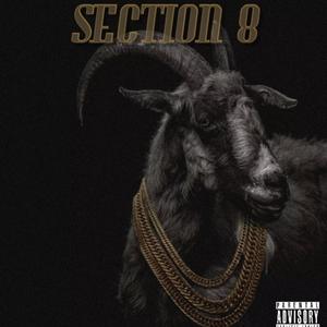 Section Eight (Explicit)